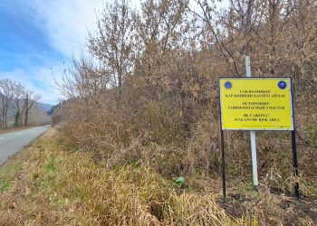 Шығыс Қазақстанда қар көшкінін ерте ескерту жүйесі енгізіліп жатыр