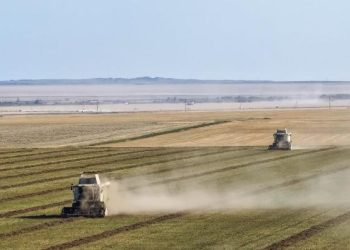 Қазақстанда 22,7 миллион тонна астық бастырылды