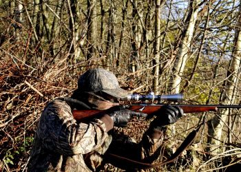 ШҚО-да браконьерлермен күрес күшейді