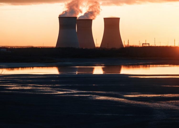 Фото: жасанды инлеттект