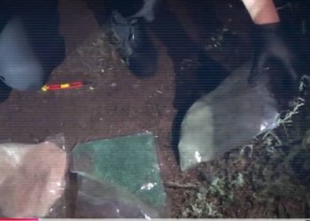 Қазақстанда 9 айда есірткіге қатысты 6 мыңнан астам құқықбұзушылық анықталды