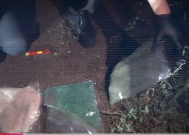 Қазақстанда 9 айда есірткіге қатысты 6 мыңнан астам құқықбұзушылық анықталды