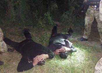 Мал ұрлап, сойып сатқан: ШҚО-да екі күдікті қолға түсті