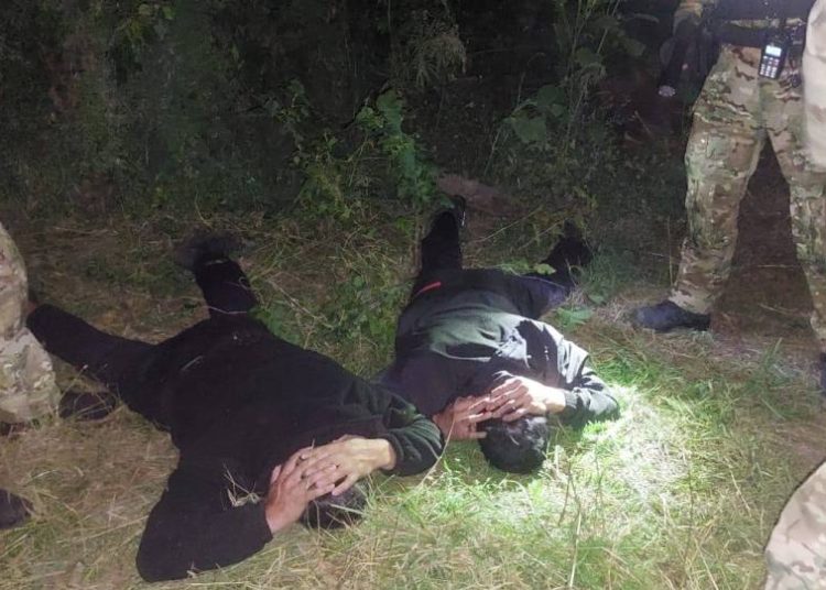 Мал ұрлап, сойып сатқан: ШҚО-да екі күдікті қолға түсті