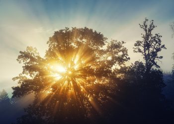 Күн қайта жылынады – ШҚО