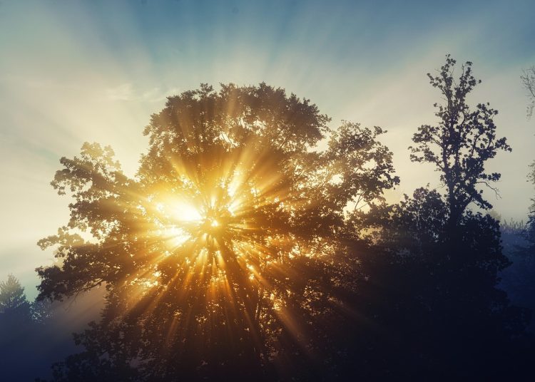 Күн қайта жылынады – ШҚО