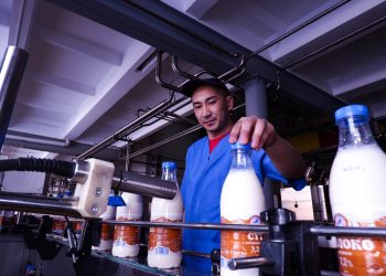 ШҚО-да сүт өндірісі 13 пайызға артты