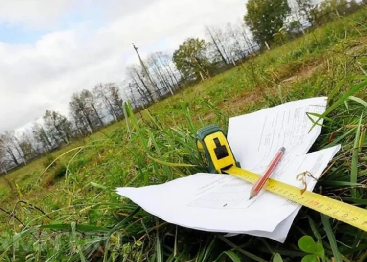 Күршім ауданында 14 мың гектар жер мемлекет меншігіне қайтарылды