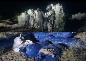 Заңсыз айналымнан 27 тоннадан астам есірткі тәркіленді – ІІМ