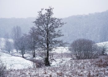 Желтоқсанда ауа райы қандай болады?