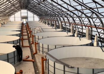 ШҚО-да 348 млн теңгеге балық өсіру кешені салынады