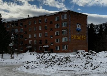 Риддер тұрғындарын дүрліктірген видеоға қатысты орманшылар жауап берді