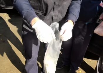 ШҚО-да есірткі қылмысына қатысы бар 66 адам ұсталды