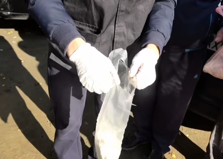 ШҚО-да есірткі қылмысына қатысы бар 66 адам ұсталды