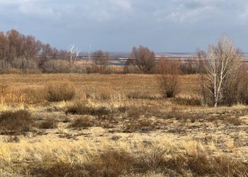 Мемлекетке қайтарылған 700 мың гектар жер халыққа берілді