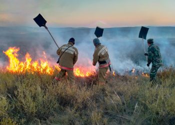 203 га астам аумақ жанып кеткен: ШҚО-да өрт қауіпі жоғары кезең қорытындыланды