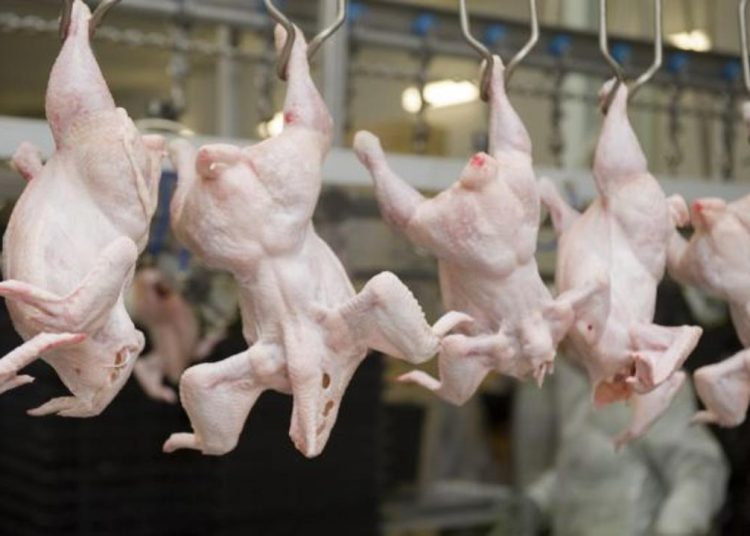 Қазақстанға Ресейден 20 тонна құс етін заңсыз әкелмек болған