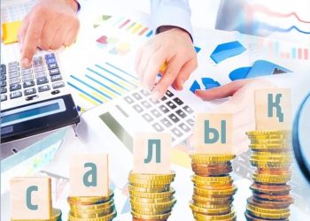 Жеңілдетілген салық режимін кімдер пайдалана алады?