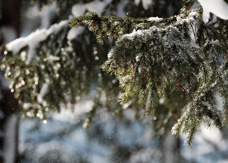 ШҚО-да қар жауып, күн суытады