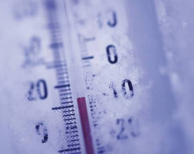 Фото: ашық дереккөздерден алынды