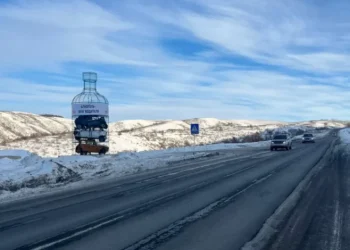 Бөтелке ішінде қираған көліктер: ШҚО-да жол бойына ерекше арт-нысан қойылды
