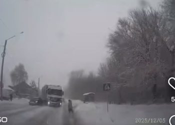 Жүк көлігі жаяу жүргіншіні қағып кетті – ШҚО