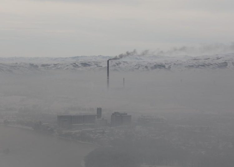 Фото: Мерей Қайнарұлы