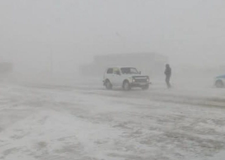 Фото: ашық дереккөздерден алынды