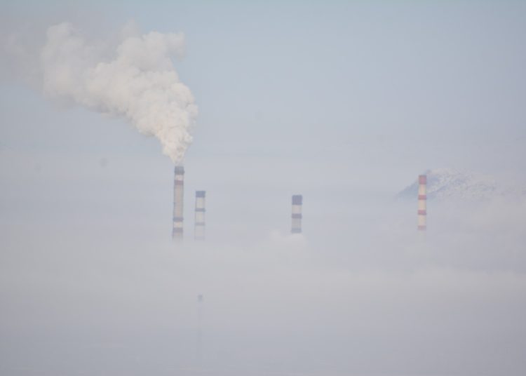 Фото: Тілеубек Шаяхмет