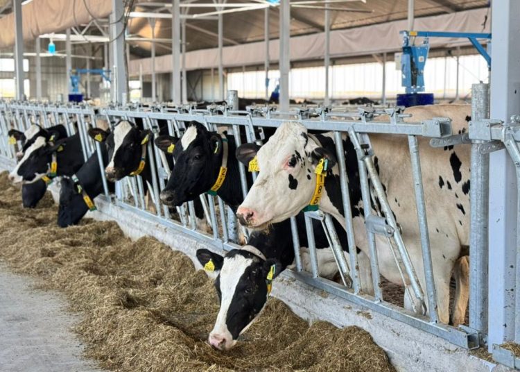 Фото: ҚР Ауыл шаруашылығы министрлігі