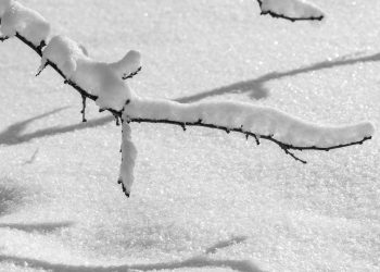 ШҚО: Жаңа жылда ауа райы қандай болады?