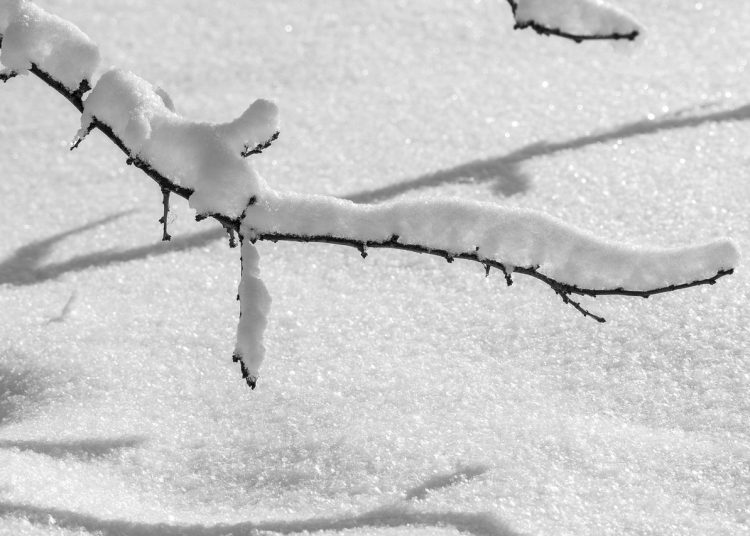 ШҚО: Жаңа жылда ауа райы қандай болады?