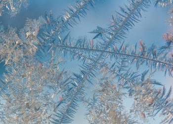 ШҚО-да 30 градусқа дейін аяз болады