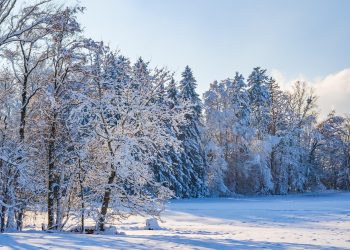 ШҚО-да 35 градусқа дейін аяз болады