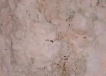 Түсі сап-сары: Өскеменде өзгеше қар жауды, тұрғындар алаңдап отыр