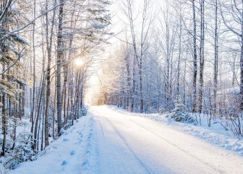 Ақпанда аяз күшейеді: синоптиктер ауа райы болжамын жариялады