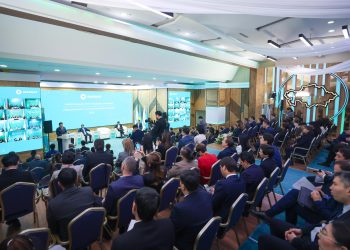 Еліміздің әр ауданында IT-hub құрылады