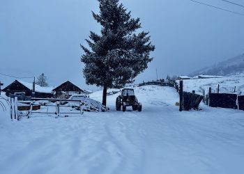 2026 жылы ауыл кәсіпкерлеріне берілетін қолдау қаржы екі есе өсті