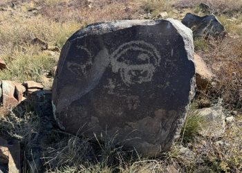 Алтайдың таңбалы шежіресі: «Берел» музей-қорығы ауқымды ғылыми жобаны аяқтады