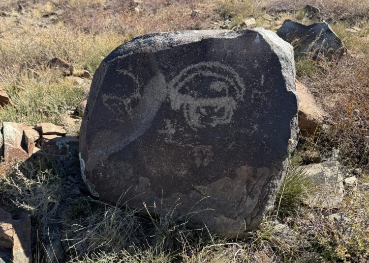 Фото: автордікі