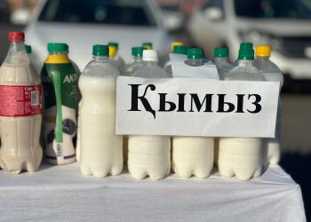 Шығыс Қазақстан облысы бал мен қымыз өндіруде көш бастап тұр