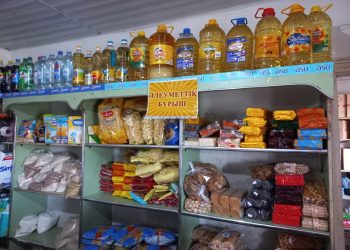 Қазақстанда азық-түлік қымбаттап, дәрі-дәрмек арзандады