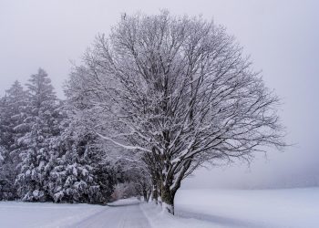 Қаңтар айында ауа райы қандай болады?