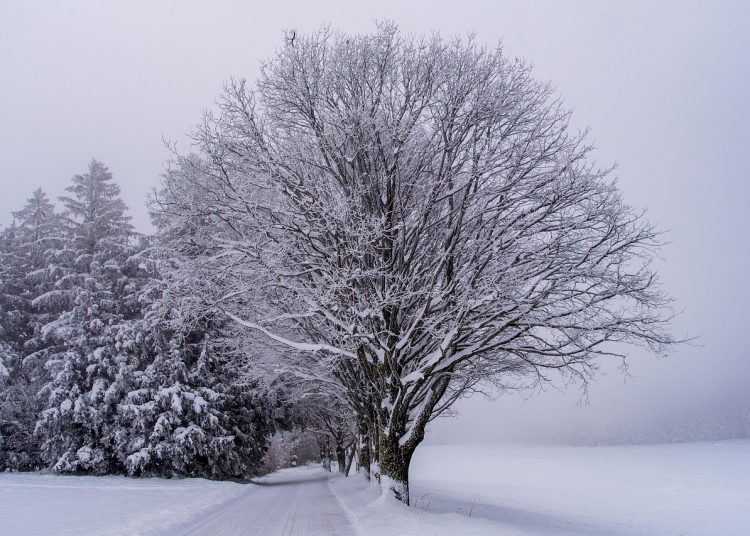 Қаңтар айында ауа райы қандай болады?