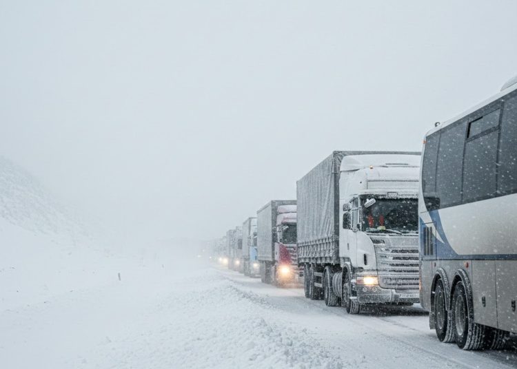 Фото: жасанды интеллект