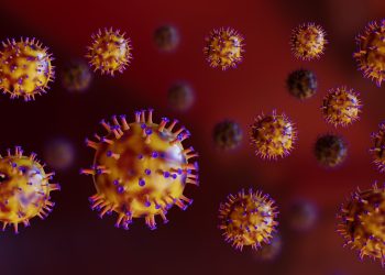 Үндістанда қауіпті вирус тарап жатыр: Денсаулық сақтау министрлігі мәлімдеме жасады