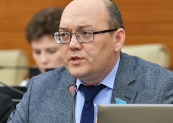 Жаңа Конституция азаматтардың елдің саяси өміріне қатысу мүмкіндігін кеңейтеді – ЖСДП төрағасы