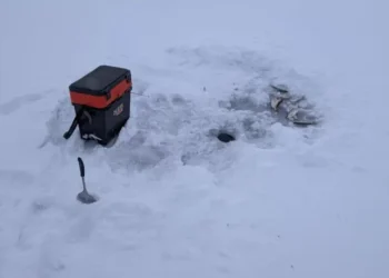 ШҚО: су айдындарында ереже бұзған 44 адам жауапкершілікке тартылды