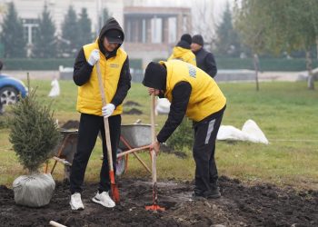 ШҚО-да былтыр 16 миллионға жуық көшет егілді