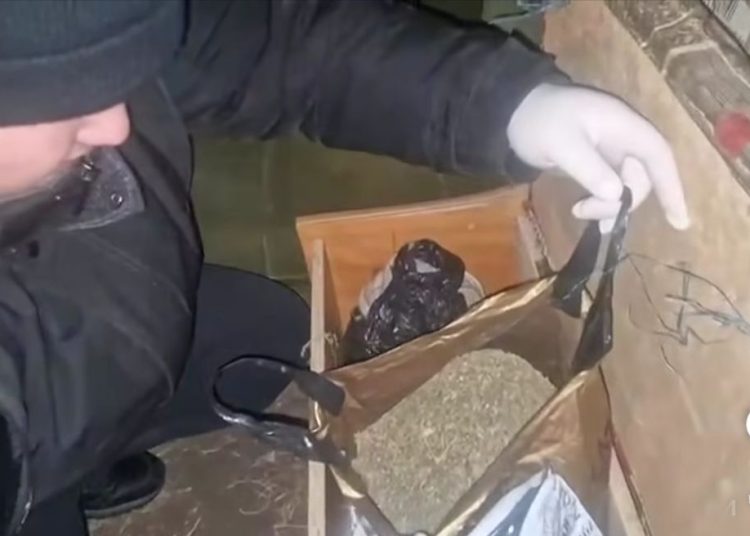 Катонқарағай тұрғыны үйінде марихуана сақтаған